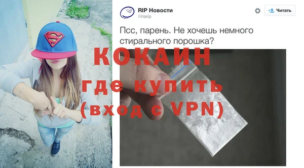 прущие грибы Инсар