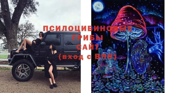 спиды Каменногорск