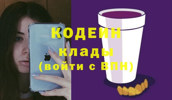 спиды Каменногорск