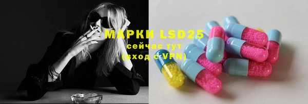 спиды Каменногорск