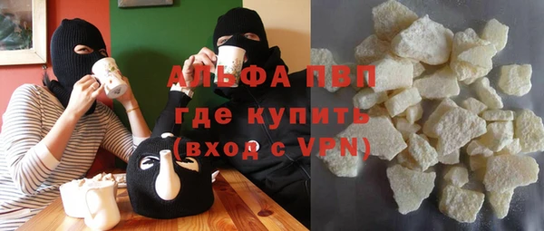 спиды Каменногорск